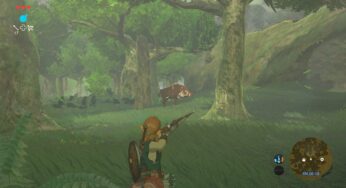 Niconico To Hold LoZ: Breath of the Wild Live Stream Next Week