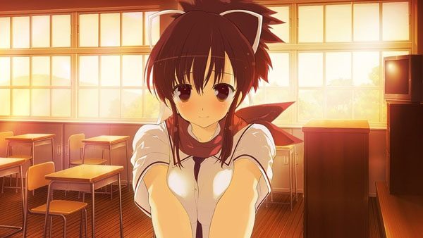 Senran Kagura Reflexions Receives Terrible Reviews In The West –  NintendoSoup