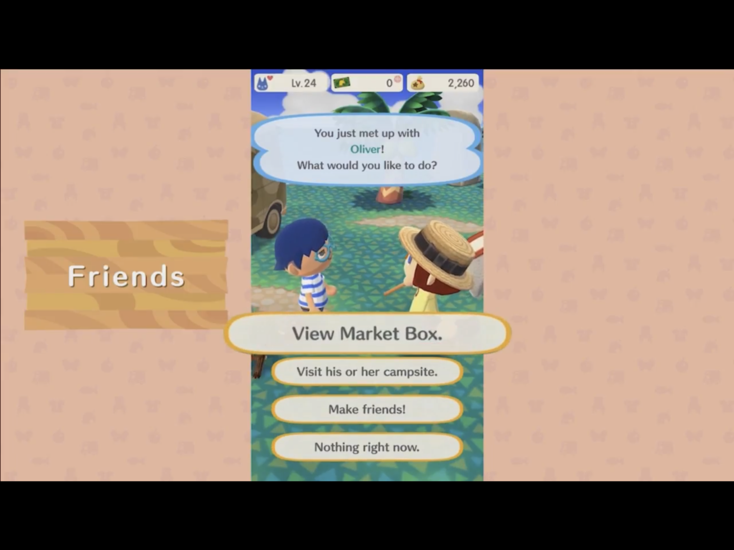 Animal Crossing Pocket Camper Brings The Animal Crossing Experience