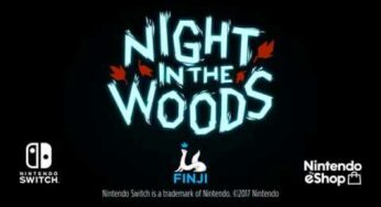 Night In The Woods Runs 1080p Docked, 60 FPS In Both Modes