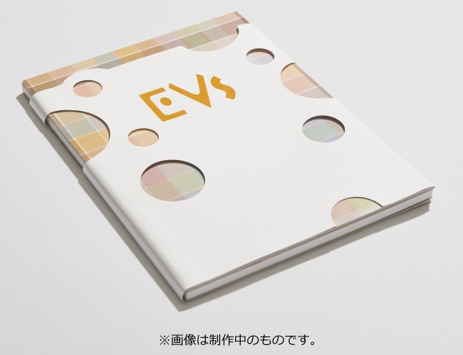 EVs Pokemon Eevee Cafe Art Book Illustration