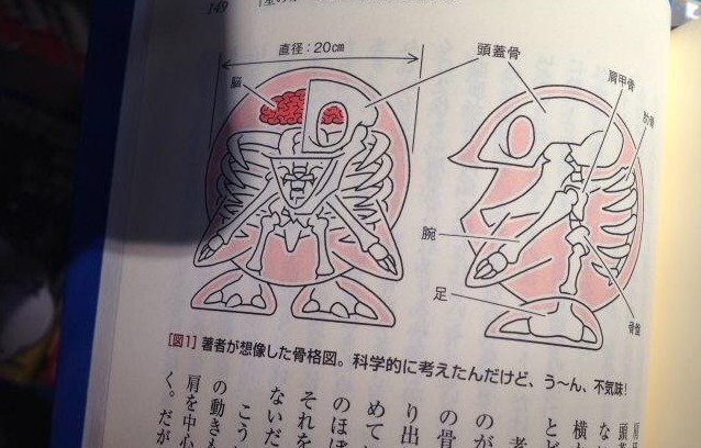 Official Kirby Artbook Reveals Kirby Has A Skeleton (UPDATE) – NintendoSoup