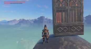 Breath Of The Wild Players Are Currently Obsessed With The Bookcase Challenge