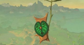 Speedrunner 100% Completes The Legend Of Zelda: Breath Of The Wild In 24 Hours