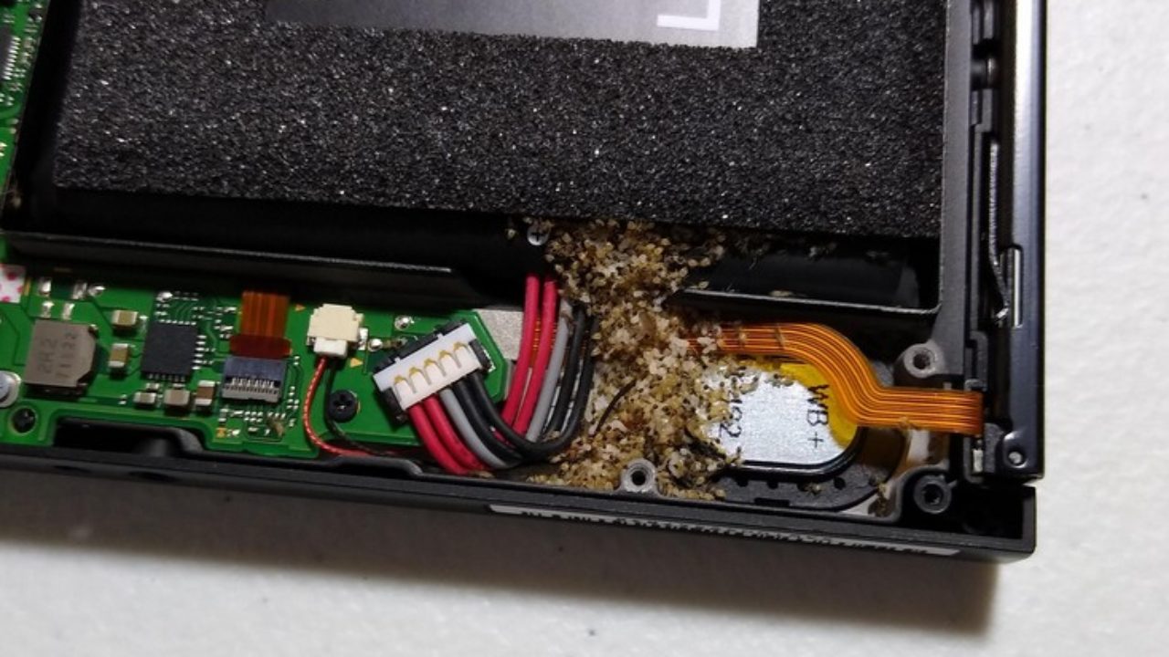 An Army Ants Set Up A Nest Inside Nintendo Switch – NintendoSoup