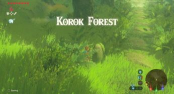 Korok Forest And Kakariko Village Swapped Places In The Legend Of Zelda: Breath Of The Wild