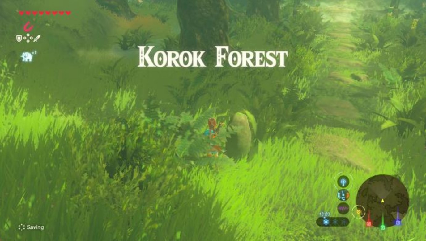 Zelda Botw Korok Forest Sep112019 