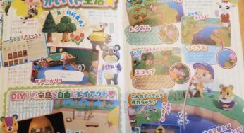 First Scans Of Chara Parfait’s Animal Crossing: New Horizons Guidebook