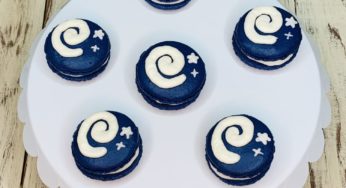 Animal Crossing Fan Makes Macarons That Look Like Fossils