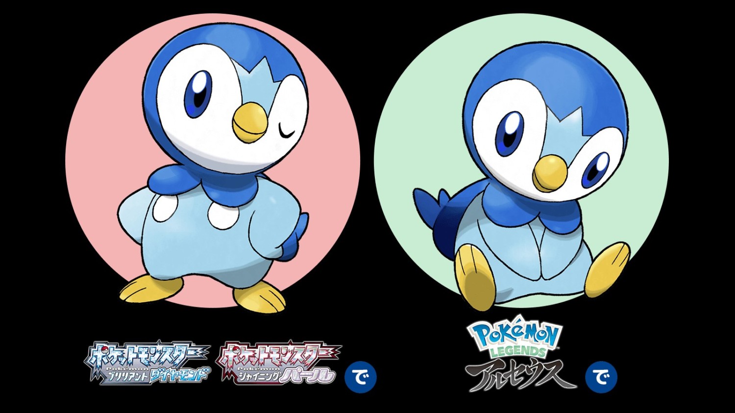 Piplup Distributions Announced For Pokemon Legends Arceus And