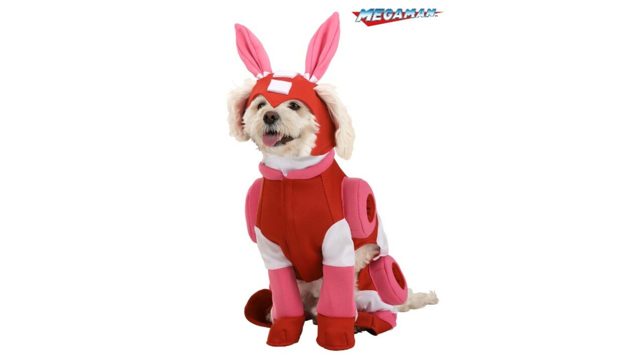 bowser dog costume