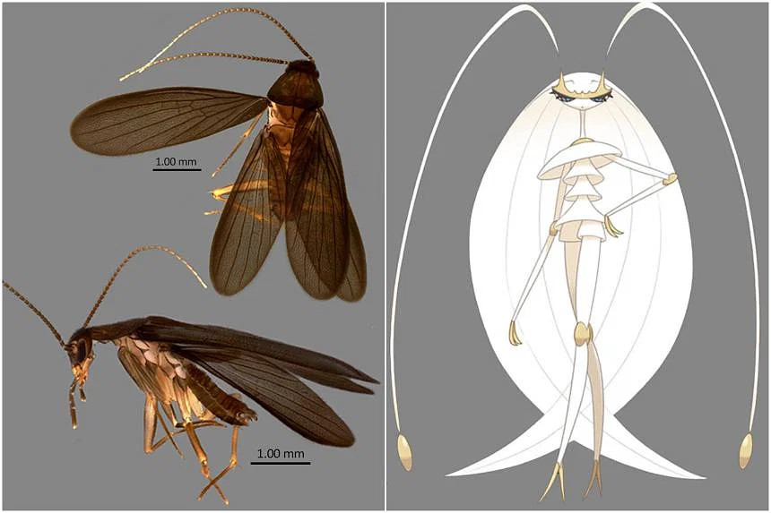 Pokémon fans name new cockroach species after Sun & Moon ultra beast