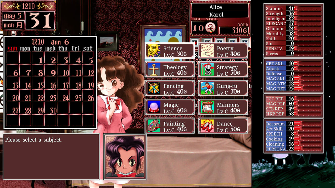 Princess maker hot sale switch