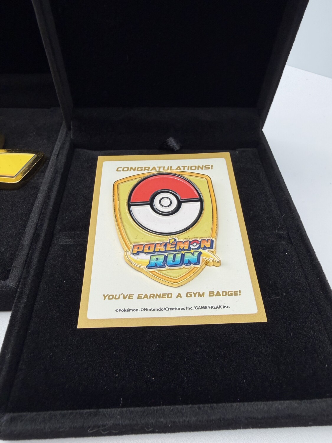 First Photos of Pokémon RUN 30 Singapore Edition Runner Kit and Merchandise Surface - Nintendo News Article