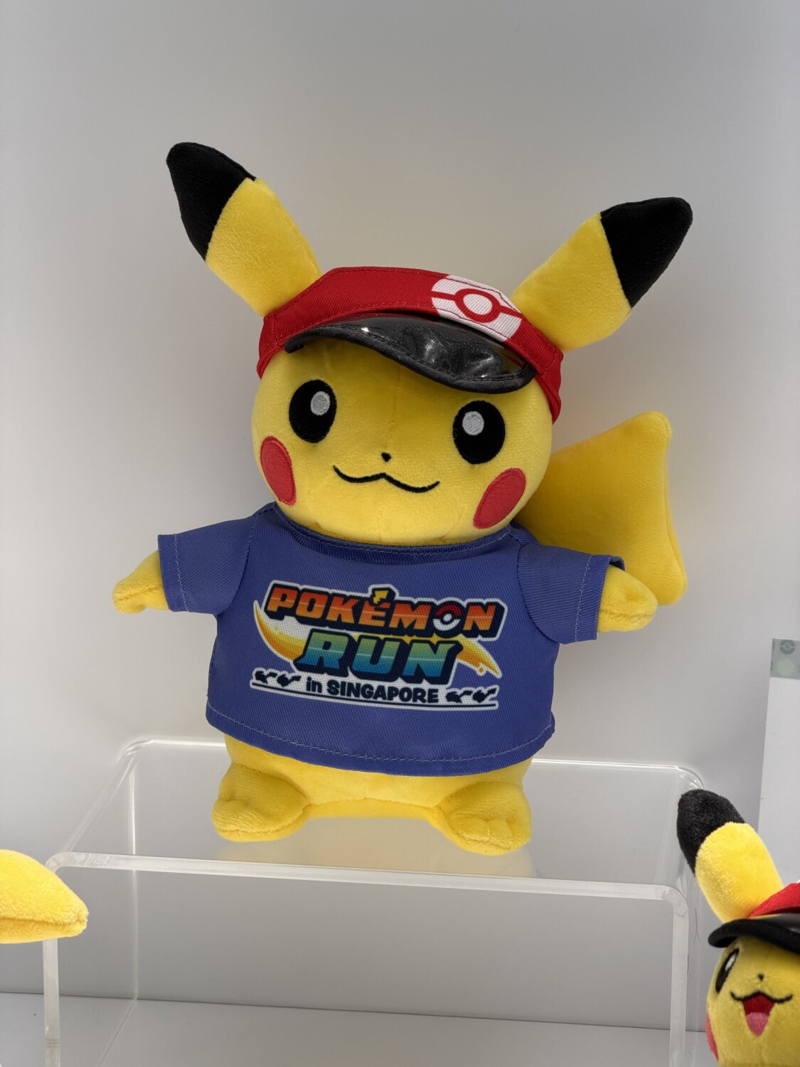 First Photos of Pokémon RUN 30 Singapore Runner Kit Surface — Merchandise Revealed - Nintendo News Article